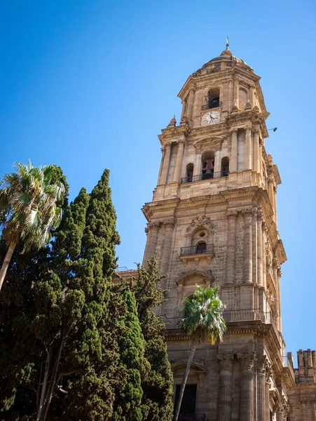 Vertical Low Angle Shot Malaga Cathedral Tropical Trees Andalusia Spain — Stock Photo, Image