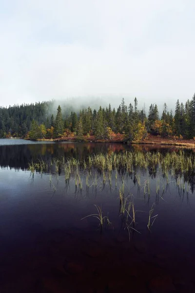 ノルウェー トテナセンヒルズの湖と朝の霧と秋のSvartdalstjerna森の垂直ショット — ストック写真