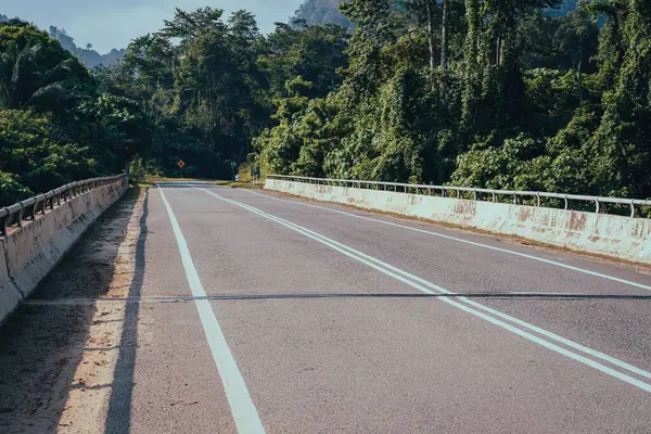Puente Carretera Vacío Cerca Selva Tropical Mañana —  Fotos de Stock