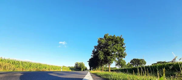 Ein Klarer Himmel Auf Dem Grünen Ackerland — Stockfoto