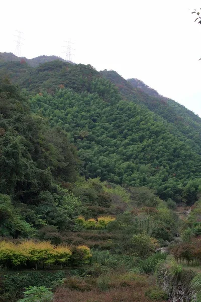 Вертикальний Знімок Гори Оточеної Зеленими Деревами Травою Вдень — стокове фото
