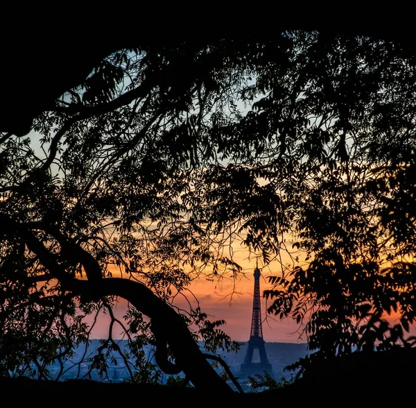 木々のシルエットから日没時のエッフェル塔の美しい景色 — ストック写真