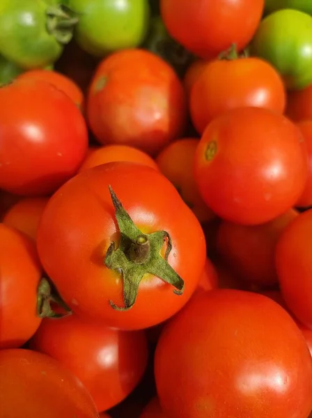 Widok Góry Zielone Czerwone Pomidory — Zdjęcie stockowe