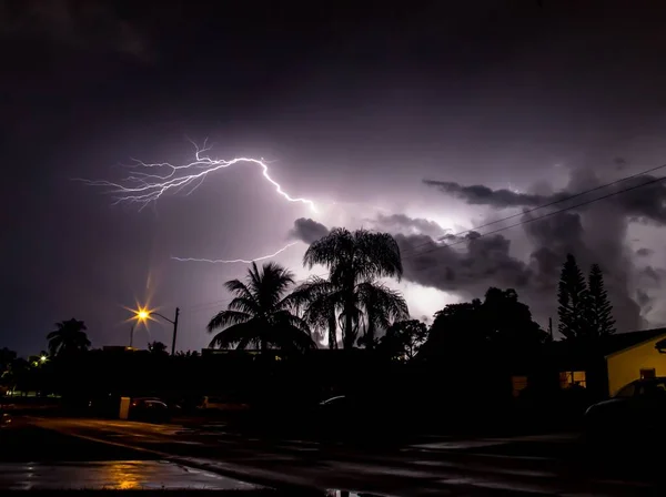 Mesmerizing Lightning Palm Trees Night — Stock Photo, Image