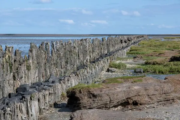 stock image The view of a wooden fence along the coastline before the ocean on a sunny day