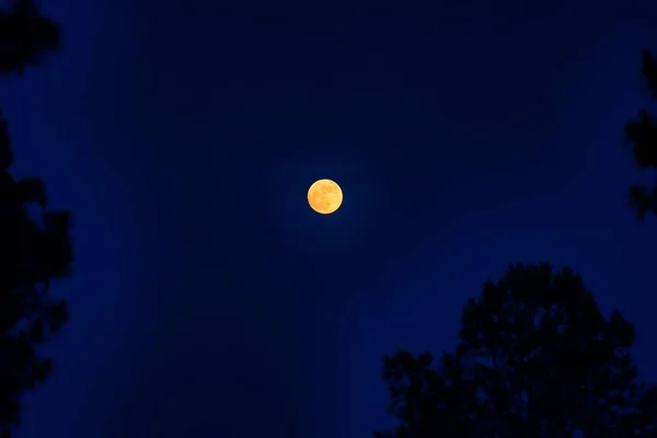 Egy Gyönyörű Kép Teliholdról Elszigetelve Sötétkék Égen — Stock Fotó