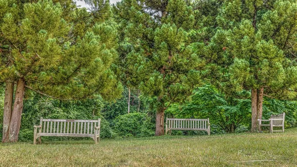 Красивий Вид Дерев Яні Лавки Парку Влітку — стокове фото