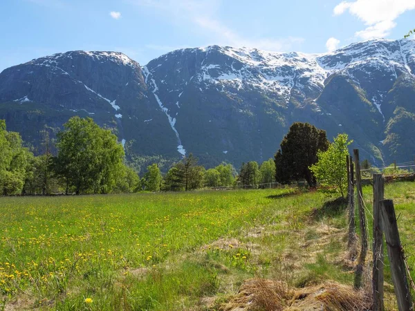 Gyönyörű Lövés Havas Hegyek Vidéki Zöld Völgyek Fjord Norvégia — Stock Fotó