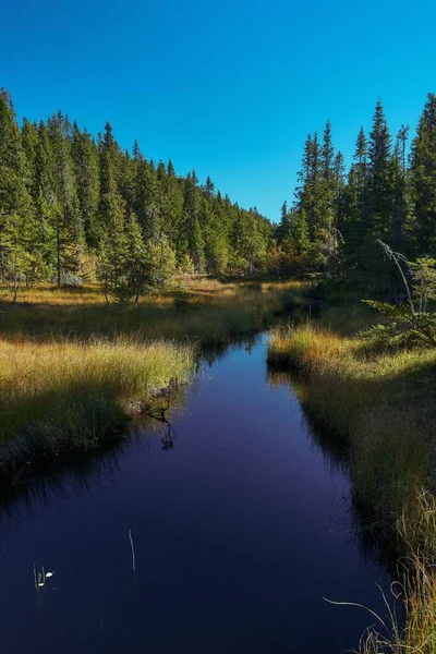 Vertikální Záběr Jezero Svartdal Stjerna Obklopeno Stromy Během Podzimu Totenasen — Stock fotografie