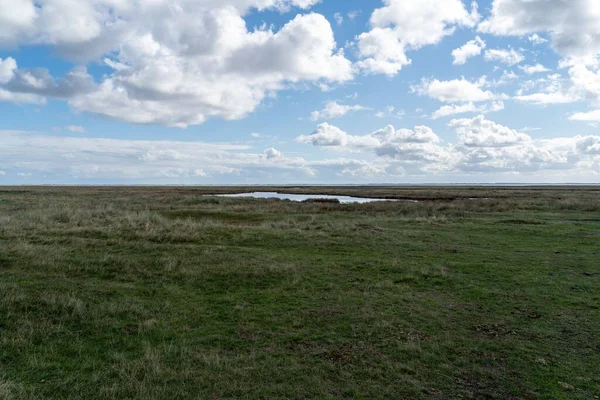 Scenic View Beautiful Landscape Meadows Pond Found Schiermonnikoog Netherlands — Stock Photo, Image