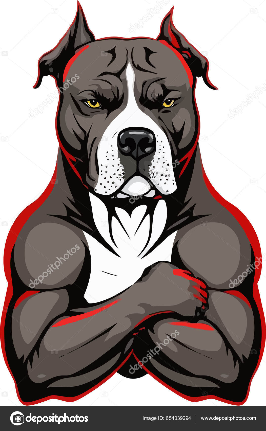 Desenho Vetorial Pitbull Forte Com Músculos Mãos Cruzadas Contra Fundo  Vetor de ©wirestock_creators 654042714, image size:1051x1700