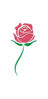 Kırmızı gül simgesi tasarımı çizim şablonu vektosu