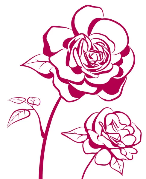 Очертания Малиновых Роз Выделены Белом Фоне — стоковый вектор