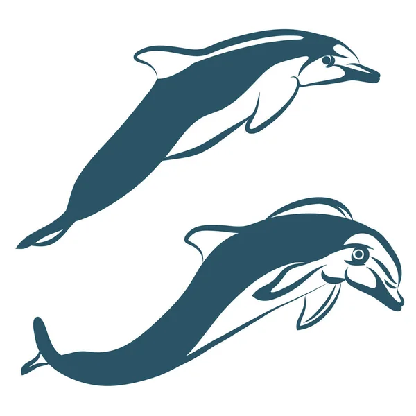 Два Дельфина Изолированы Белом Фоне — стоковый вектор