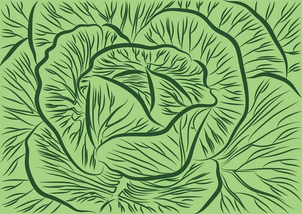Πράσινα Φύλλα Λάχανου Μοτίβο Ψηφιακό Υπόβαθρο — Διανυσματικό Αρχείο