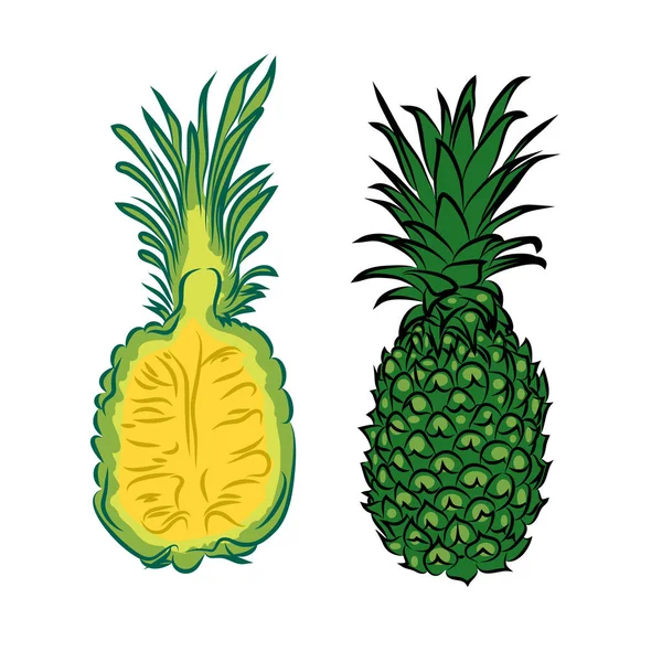 在白色背景上被隔离的菠萝 — 图库矢量图片