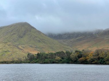 Bulutlu gökyüzünün altındaki gölden güzel bir sonbahar ağacı ve tepesi manzarası.