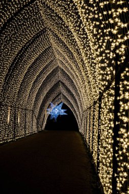 Yılbaşı boyunca Blenheim 'da ışıklı bir yıldız katedrali.