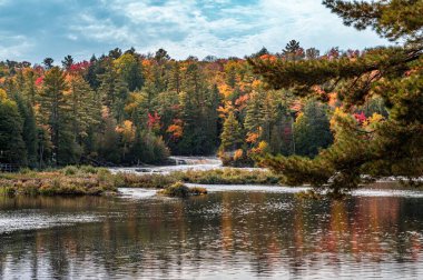 Michigan 'daki Tahquamenon Falls eyalet parkının alçak manzaralı şelaleleri sonbahar yapraklarıyla çevrilidir.