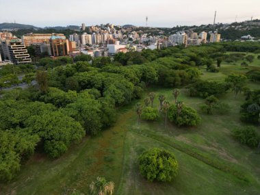 Bir şehrin arka planında büyüyen ağaçların kuş bakışı görüntüsü