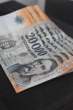 Bulanık arkaplanda Macar 20.000 forint banknotunun dikey çekimi