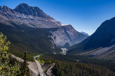 Güneşli bir günde, arka planda karlı dağ tepeleri olan yeşil ağaçlarla çevrili bir dağ yolunun nefes kesici manzarası.
