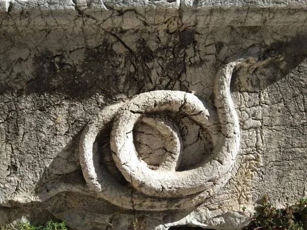 Een Stenige Gebeeldhouwde Standbeeld Van Een Slang Grunge Stenige Muur — Stockfoto