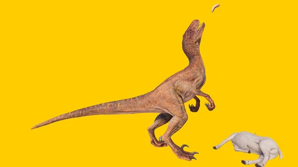 Representación Dinosaurio Velociraptor Comiendo Presa Aislada Sobre Fondo Amarillo —  Fotos de Stock