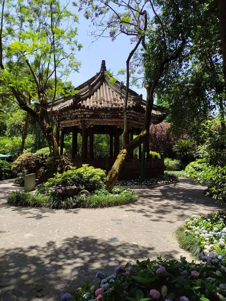 Plan Vertical Gazebo Style Asiatique Dans Parc Verdoyant Avec Des — Photo