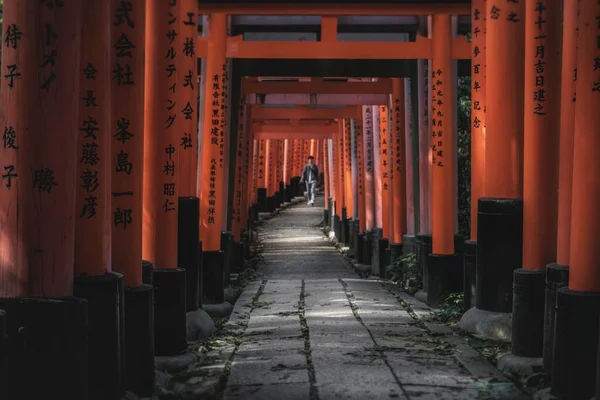 Vacker Bild Fushimi Enare Helgedom Kyoto Japan — Stockfoto