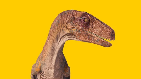 Ein Velociraptor Dinosaurier Isoliert Auf Gelbem Hintergrund — Stockfoto