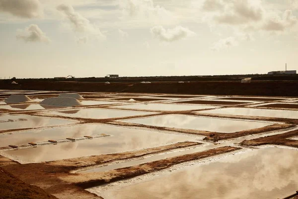 Eine Reihe Von Faro Salinen Denen Meersalz Einer Ländlichen Region — Stockfoto