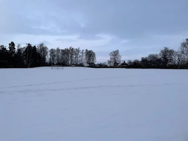 木々や家屋を背景にした大きな雪原 — ストック写真