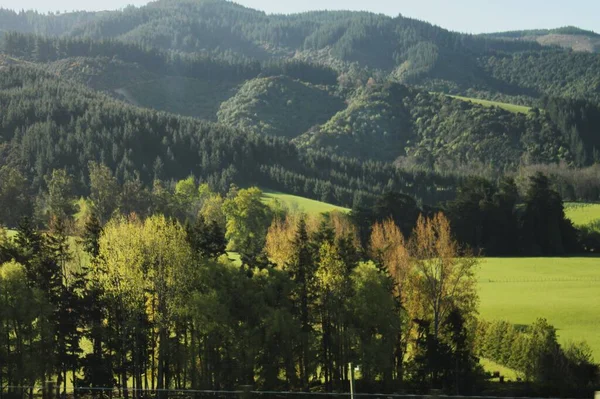 Uma Bela Foto Uma Paisagem Montanhosa Verde — Fotografia de Stock