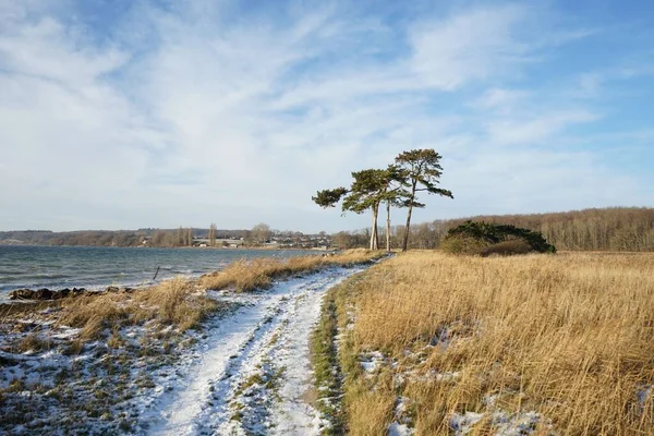 Een Landschap Uitzicht Een Besneeuwd Pad Het Strand Een Zonnige — Stockfoto