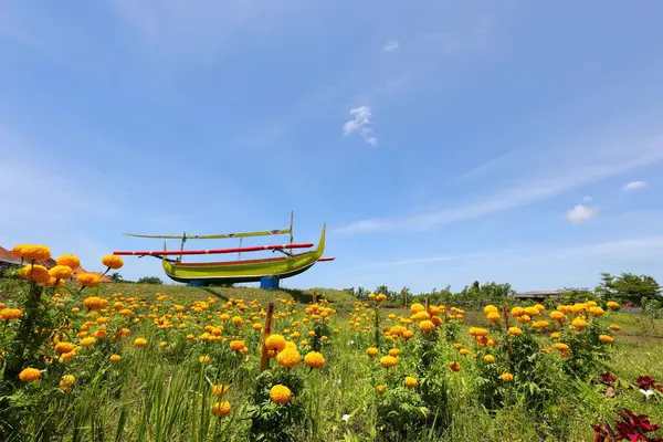 Sailing Boat Yellow Flower Field Blue Sky — Stock Photo, Image