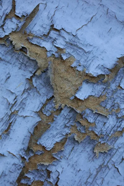 Вертикальный Снимок Старой Синей Поврежденной Деревянной Двери — стоковое фото