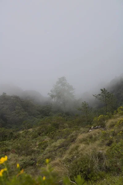 Krásná Krajina Zelených Údolí Horách Mlhou — Stock fotografie