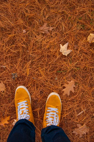 Μια Κάθετη Λήψη Ενός Ατόμου Που Φοράει Πορτοκαλί Παπούτσια Καθώς — Φωτογραφία Αρχείου