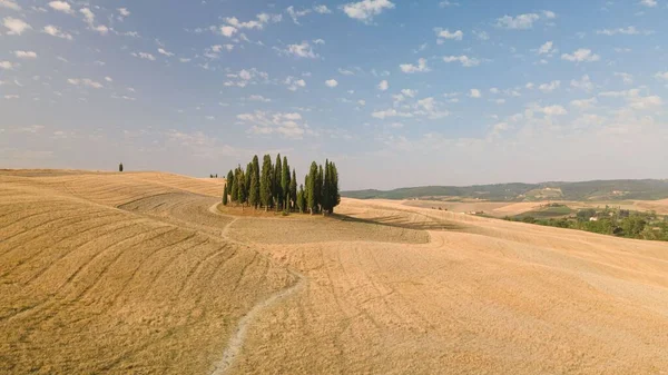 Вид Воздуха Поля Тосканы Расположенные Италии Прекрасный Солнечный День — стоковое фото