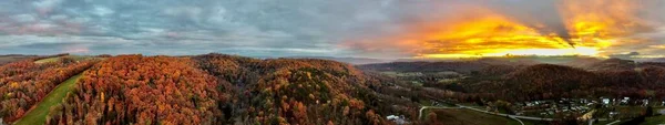 Ein Panoramablick Auf Einen Schönen Wald Der Nähe Der Berge — Stockfoto