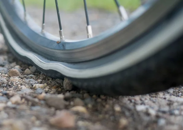 Kırık Bir Bisiklet Tekerleğinde Oturan Sivrisineğin Makro Görüntüsü — Stok fotoğraf