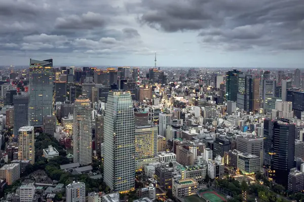 从空中俯瞰东京市中心的城市景观 伴随着现代建筑 灯光在一个阴郁的夜晚打开了 — 图库照片