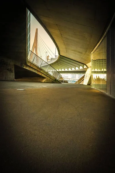 荷兰鹿特丹Erasmusbrug桥下发现的一条垂直人行道照片 — 图库照片