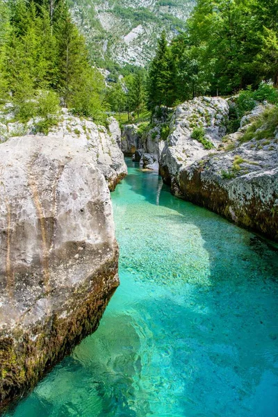 Preciosa Agua Color Esmeralda Gran Desfiladero Soca Eslovenia Rodeada Exuberantes — Foto de Stock