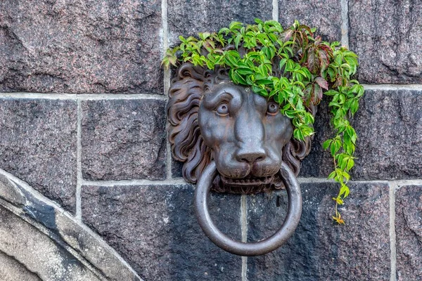 石の壁に金属のライオンのドアのノッカーのクローズアップショット — ストック写真