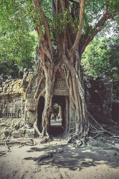 Μια Κάθετη Βολή Του Ναού Angkor Wat Στο Siem Reap — Φωτογραφία Αρχείου