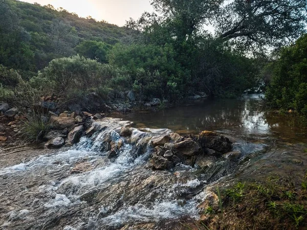 Een Prachtige Waterval Loopt Een Groen Bos Bij Zonsondergang — Stockfoto