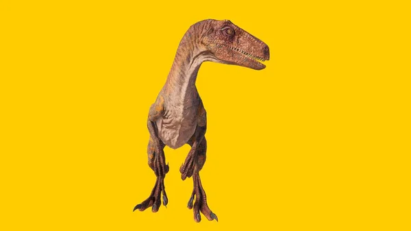 Ένας Δεινόσαυρος Βελοσιράπτορας Απομονωμένος Κίτρινο Κενό Φόντο — Φωτογραφία Αρχείου