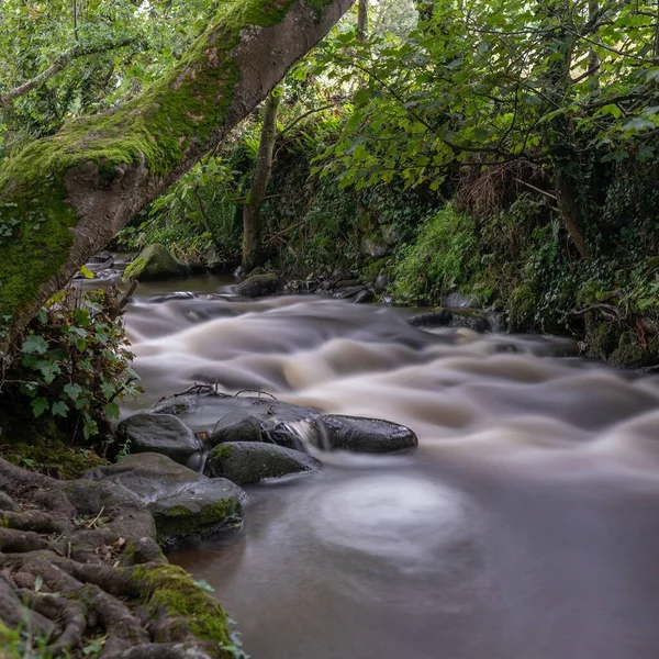 一条被森林植被环绕的岩石河流的长期暴露 — 图库照片